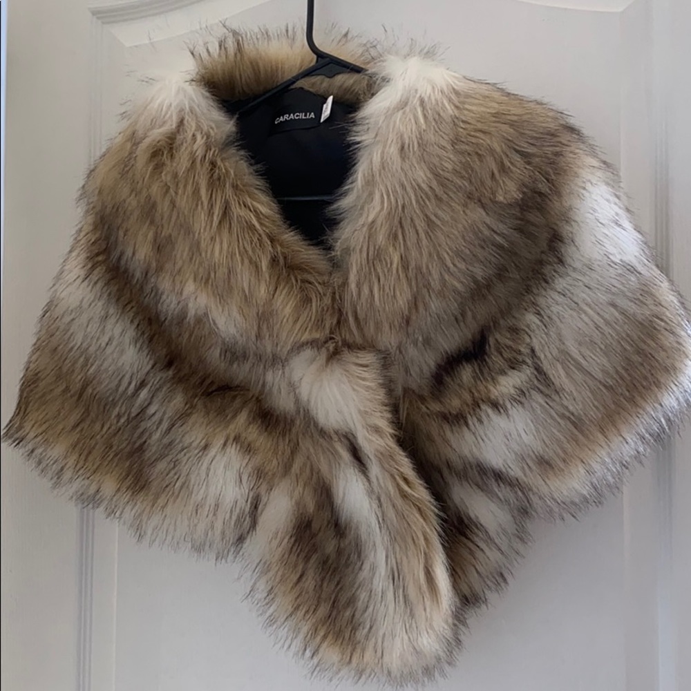 Beautiful Faux Fur